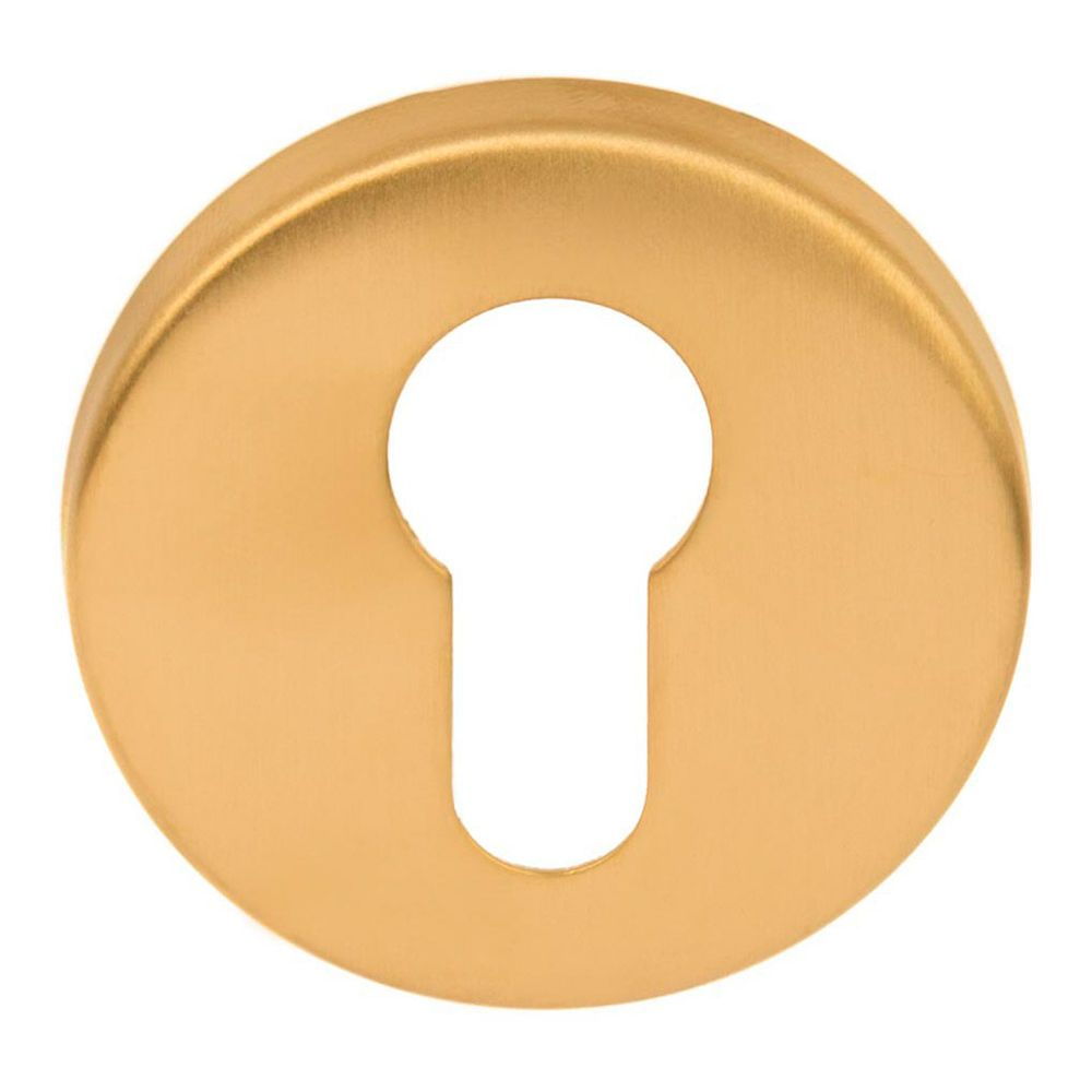 FORMANI 1501Y002IMXX0