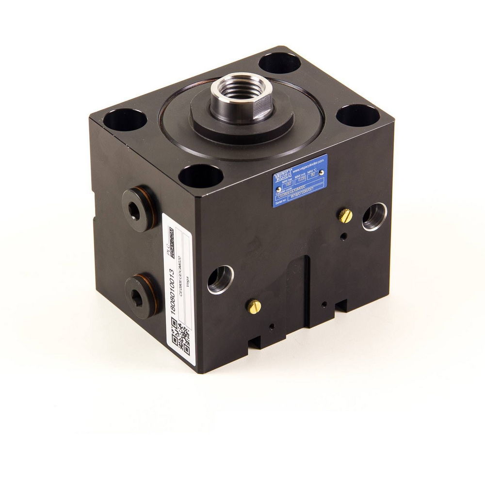 VEGA CYLINDER | CE080EGDGM020 | NSPP