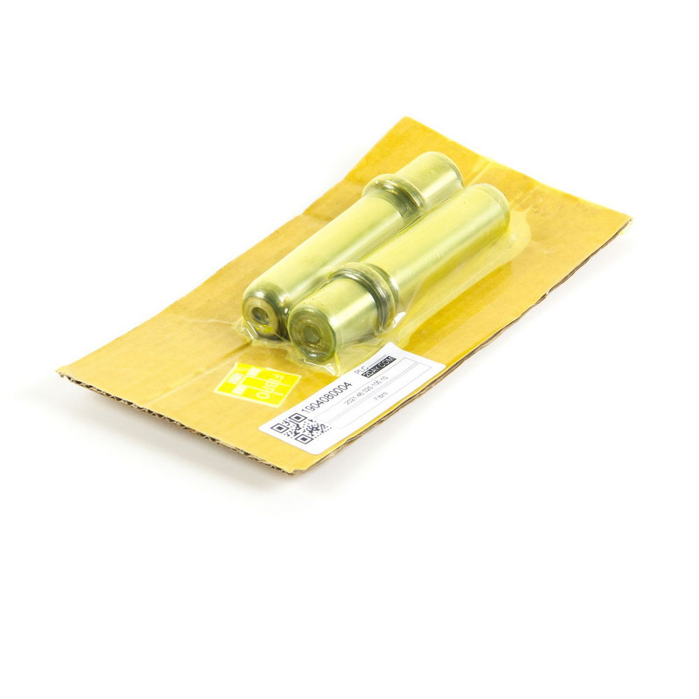 FIBRO | 2021.46.025.100.10 (lot of 2pcs) | NSFP(S)