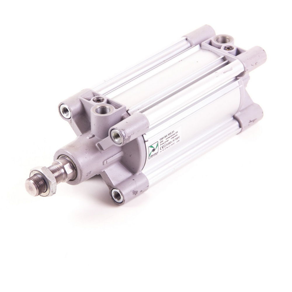 PNEUMAX | 1391.80.100.01 | USPP