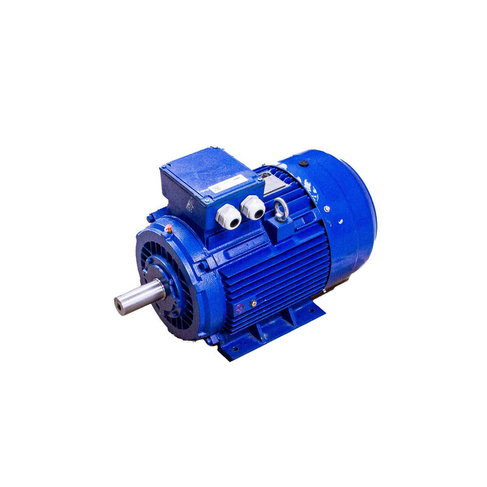 EUROMOTORI 1L180M-4B3-PTC 3-PH Induction