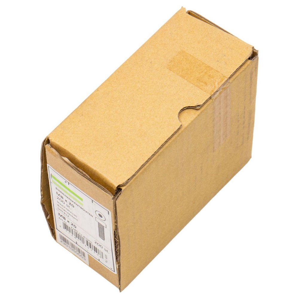 HOENDERDAAL M8x20 (2160.11.61001) Binnenzeskant bouten