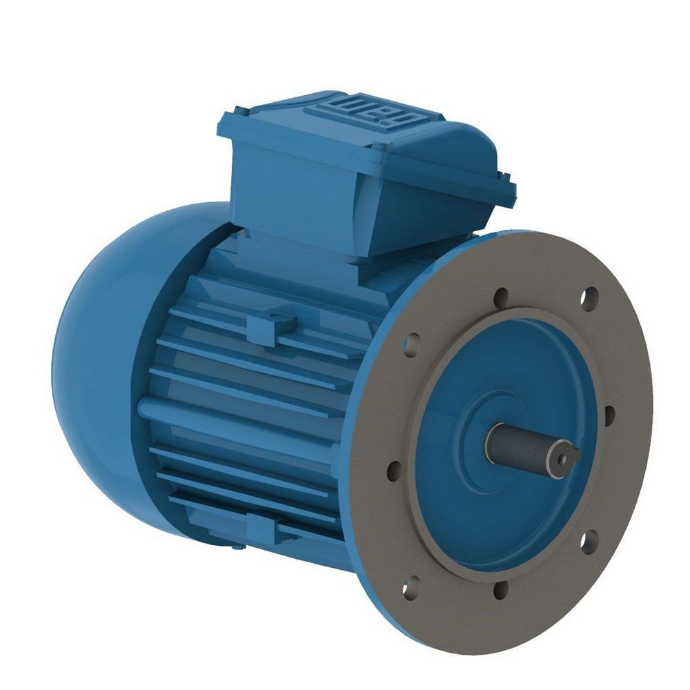 WEG W22 IE2 GY 80-4 0