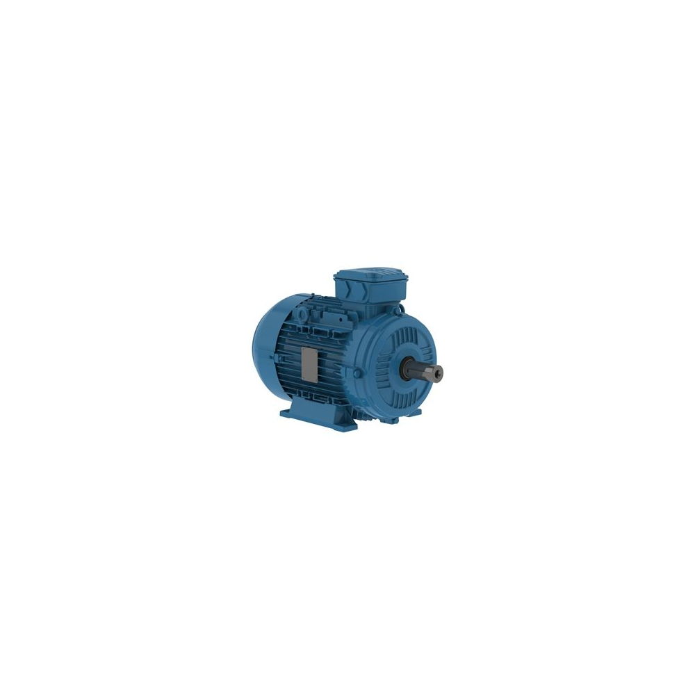 WEG W21 IE2 AL 112M-2 7