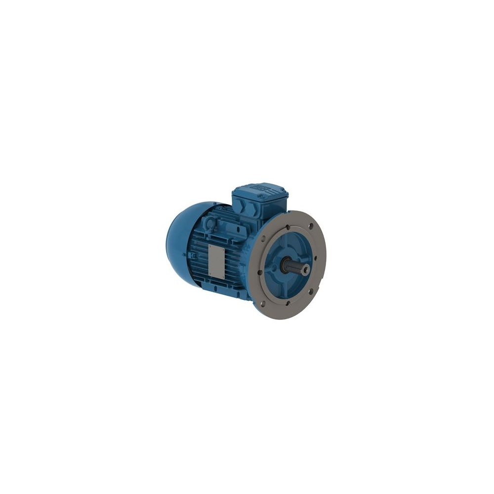 WEG W21 IE2 AL 112M-6 2