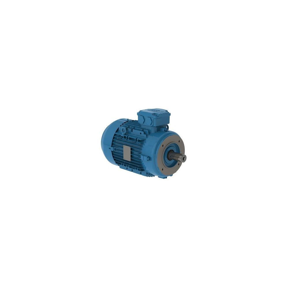 WEG W21 IE2 AL 112M-2 4