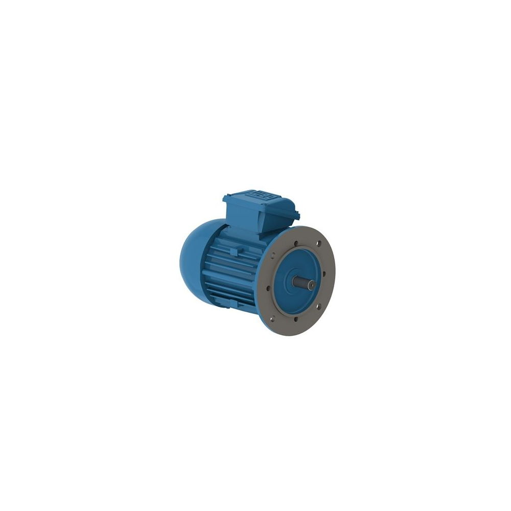 WEG W22 IE2 GY 63-4 0