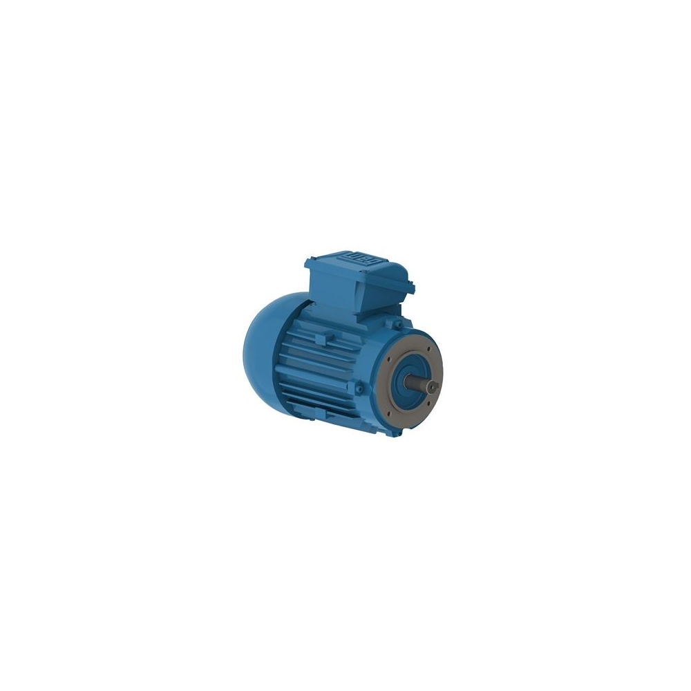 WEG W22 IE3 GY 112M-8 1