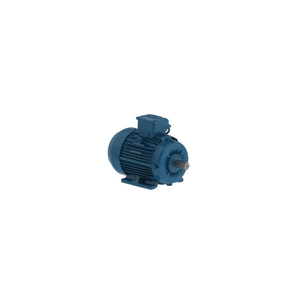 WEG W22 IE3 GY 112M-8 1
