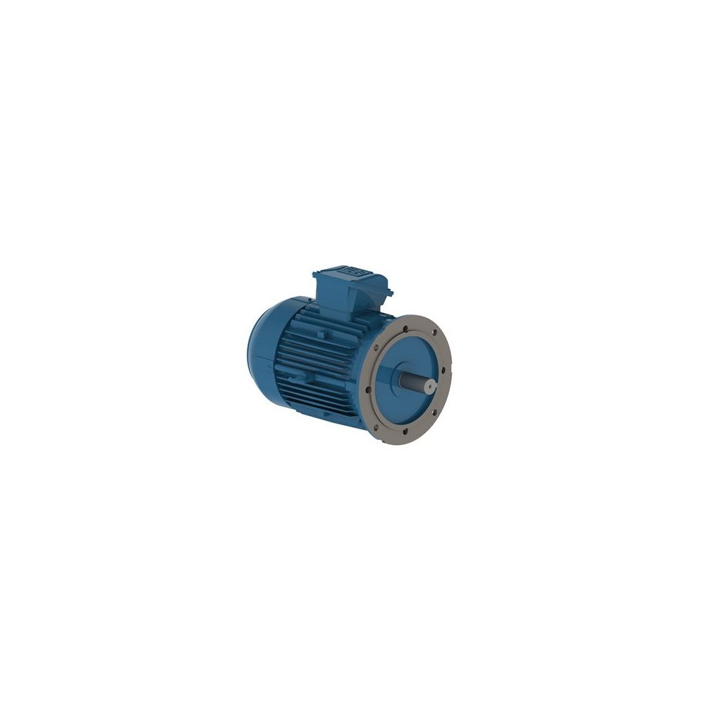 WEG W22 IE3 GY 112M-8 1