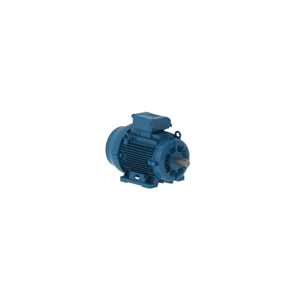 WEG W22 IE3 GY 180L-6 15kW 6p B3T (1pc)