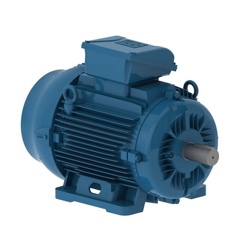 WEG W22 IE3 GY 160L-8 7