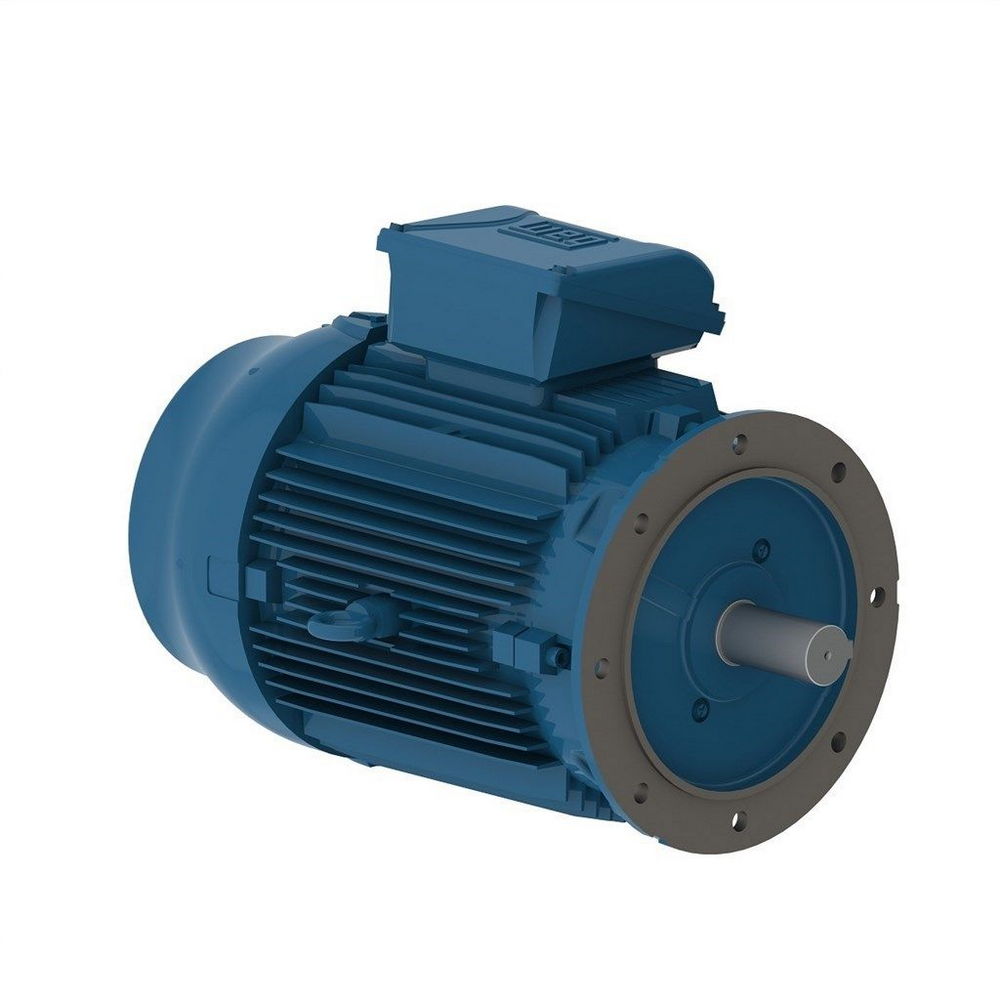 WEG W22 IE3 GY 160L-6 9