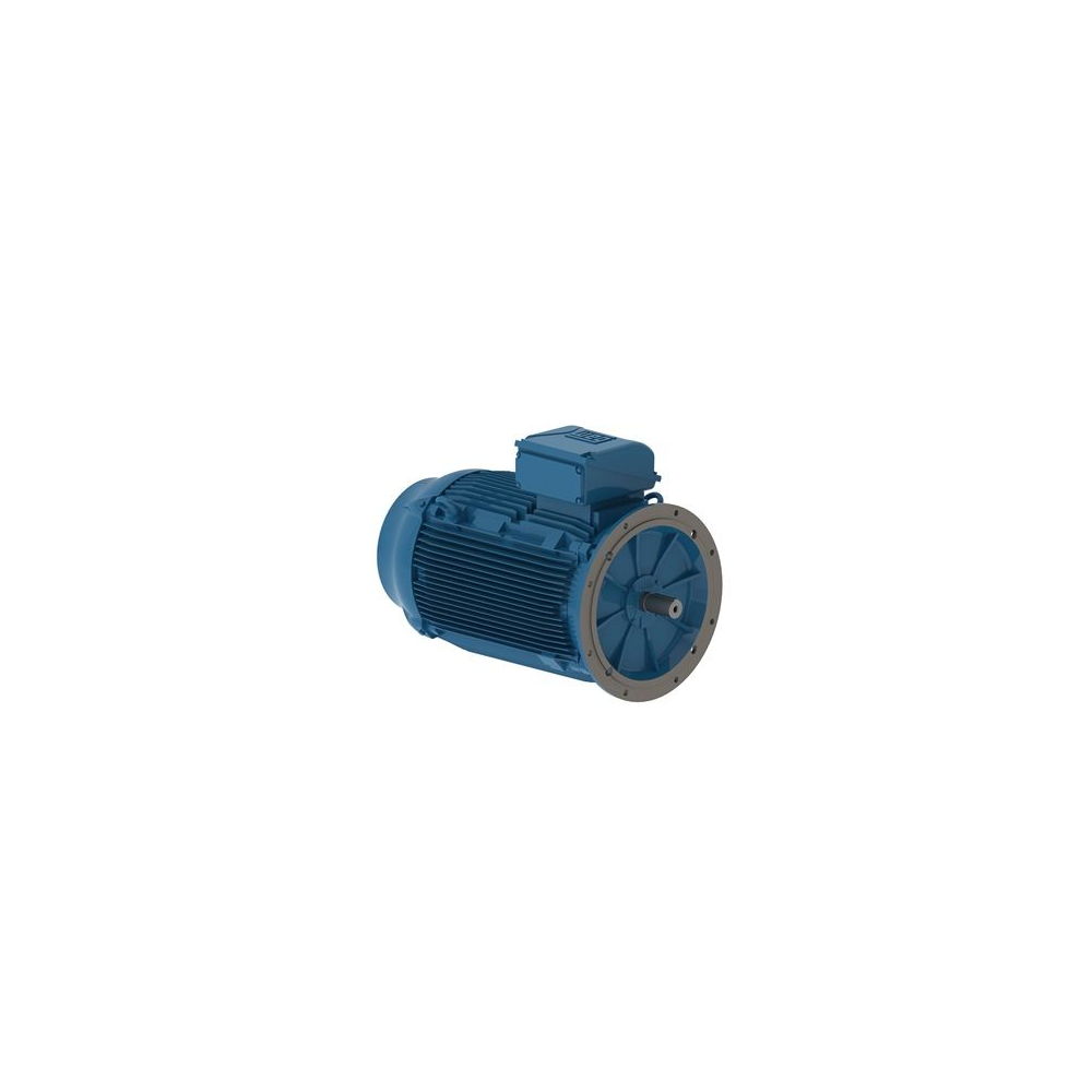 WEG W22 IE2 GY 355M/L-8 200kW 8p B5 (1pc)