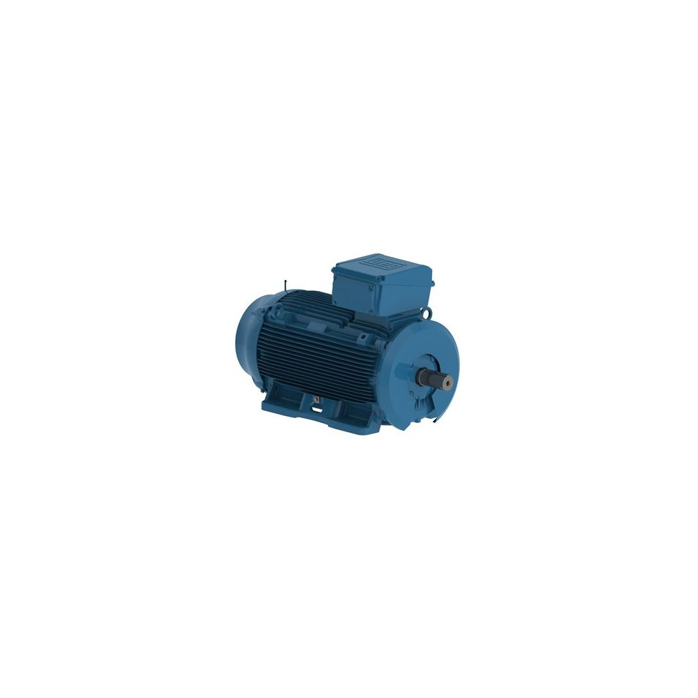 WEG W22 IE2 GY 355M/L-6 315kW 6p B3T (1pc)