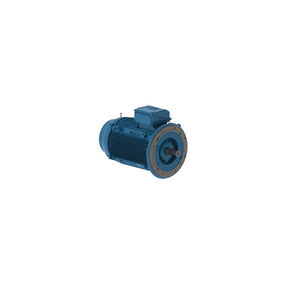 WEG W22 IE2 GY 355M/L-6 315kW 6p B5 (1pc)