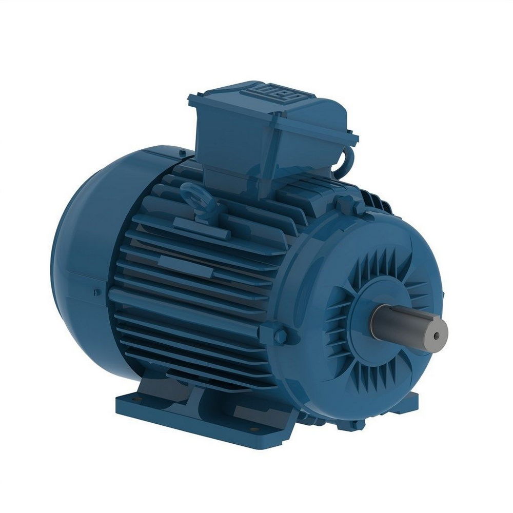 WEG W22 IE2 GY 132M-2 9