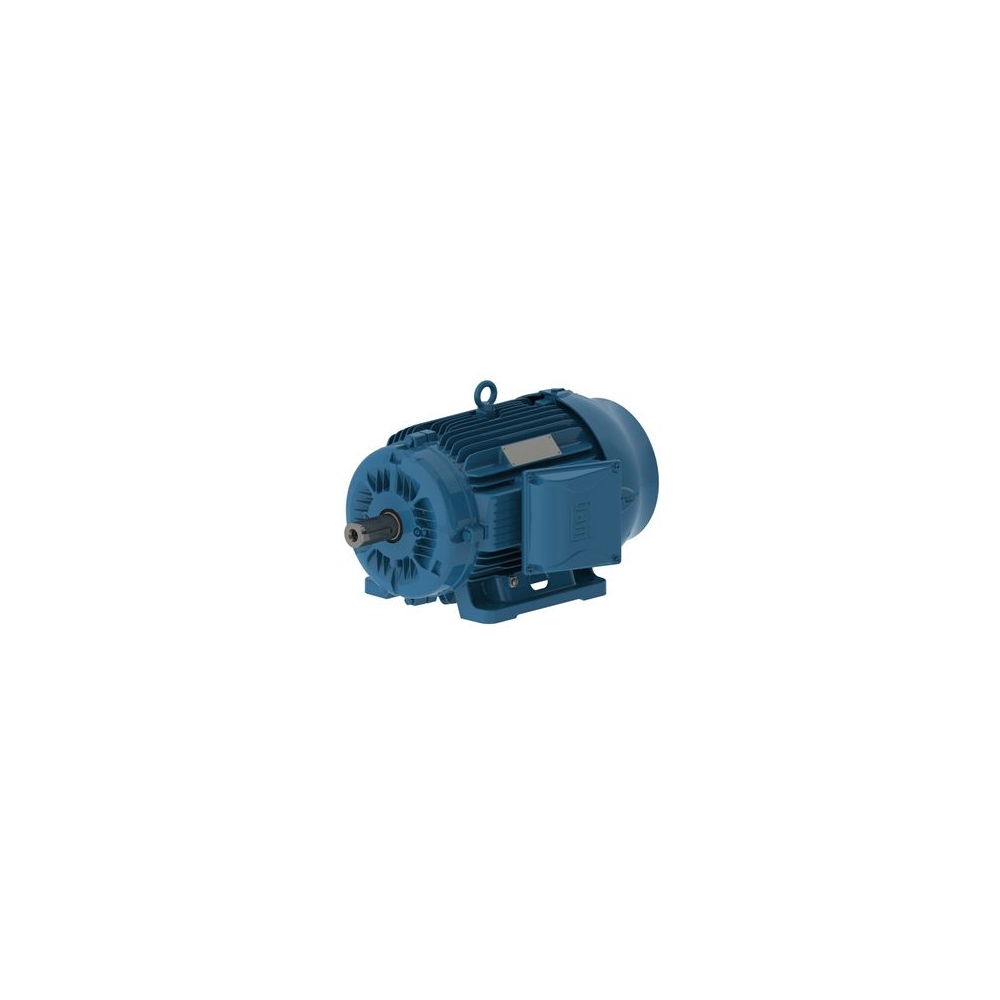 WEG W22 IE3 GY 160M-8 5